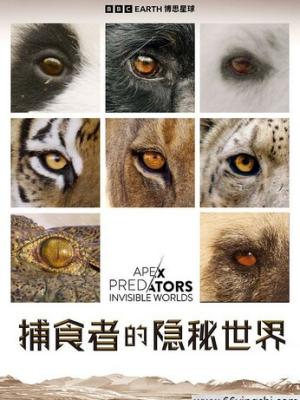 他的小王子